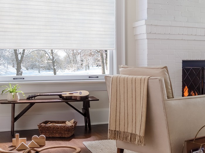 Sonnette® Cellular Roller Shades: Fabric: Elan®  Color: Daisy White